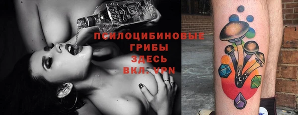 спайс Абаза