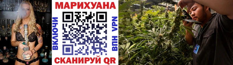 купить   Весьегонск  Марихуана план 